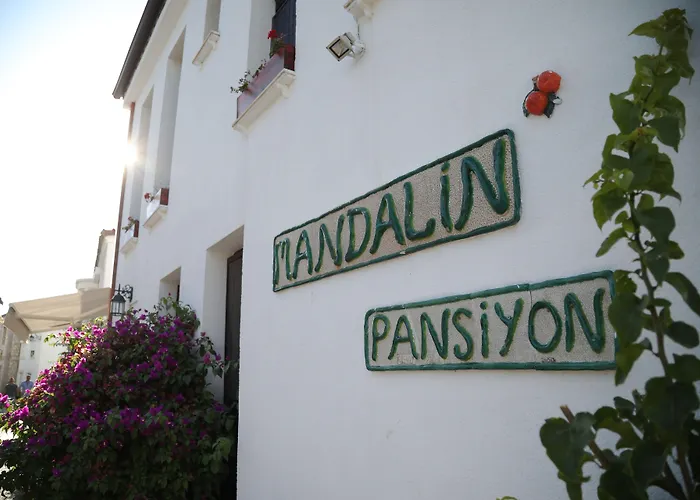 Mandalin